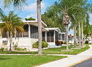 Mobile Home, park, palm trees